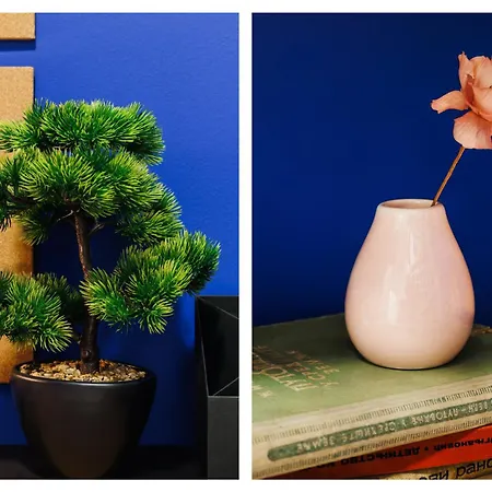 Velvet 120m2 With Foosball Old Town ベオグラード